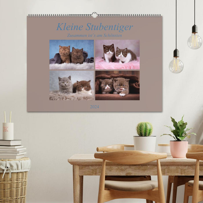 Petits chats domestiques (Calendrier mural CALVENDO 2024) 