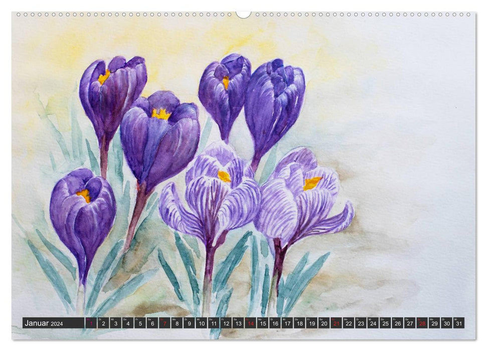 Blumenbilder in Aquarell (CALVENDO Wandkalender 2024)