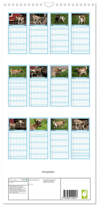 Chèvres naines (Agenda familial CALVENDO 2024) 