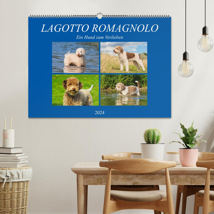 Lagotto Romagnolo - Un chien dont on tombe amoureux (Calendrier mural CALVENDO 2024) 