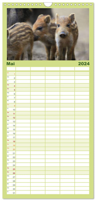 Wildlife II / 2024 (CALVENDO Familienplaner 2024)