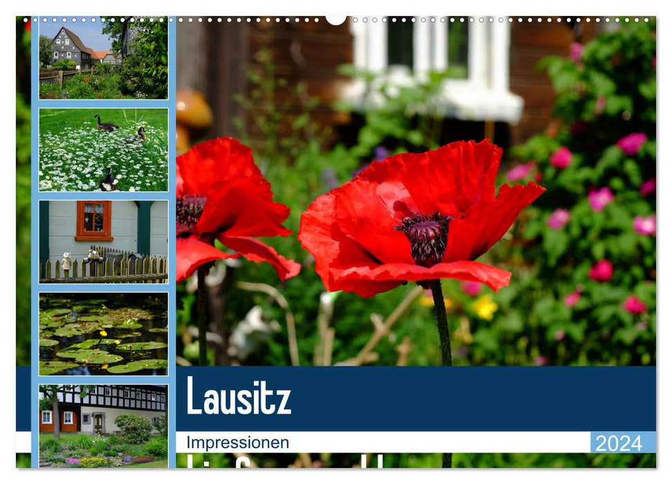 Lausitz bis Spreewald (CALVENDO Wandkalender 2024)