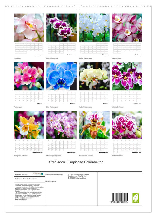 Orchideen - Tropische Schönheiten (CALVENDO Premium Wandkalender 2024)