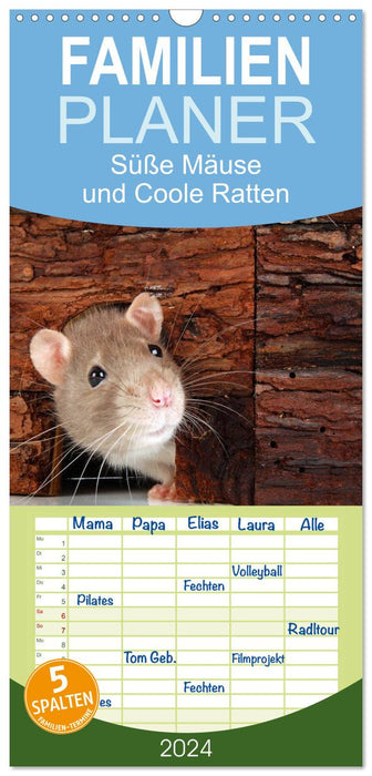 Souris douces et rats cool (Agenda familial CALVENDO 2024) 