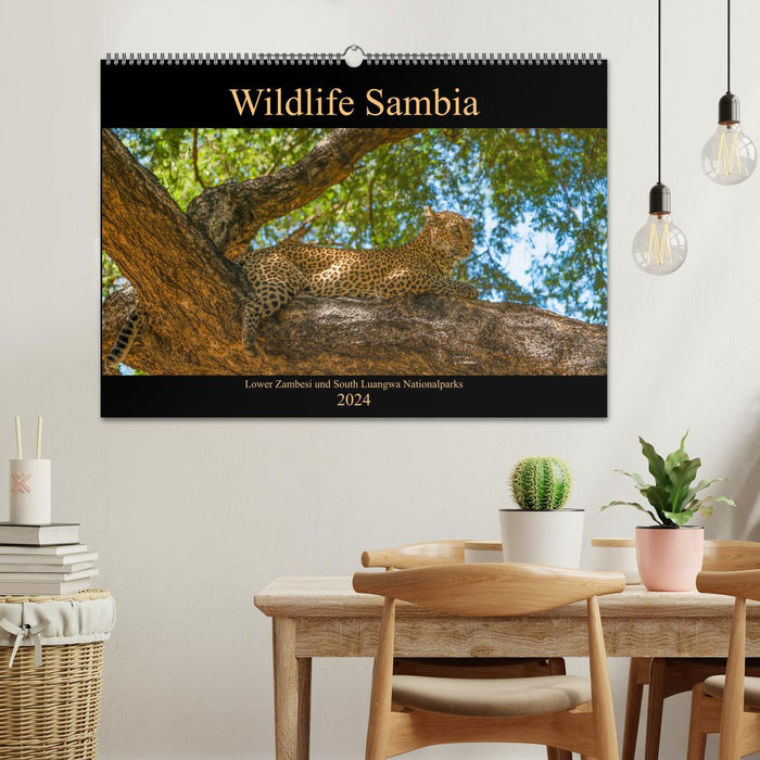 Wildlife Sambia (CALVENDO Wandkalender 2024)