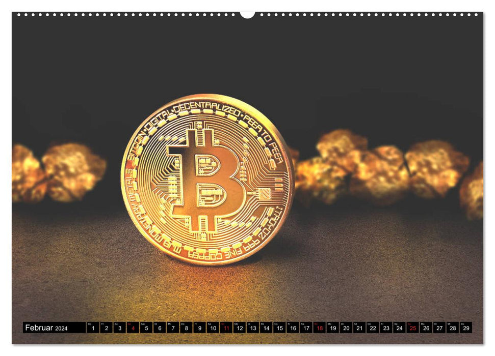 Bitcoins (CALVENDO Wandkalender 2024)