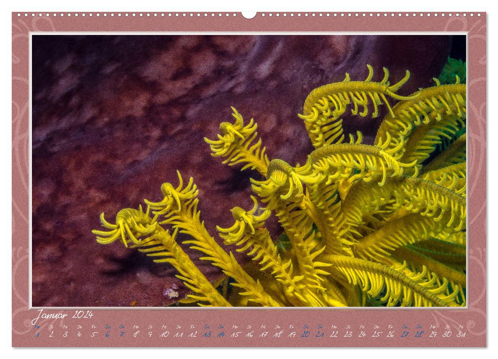 Unterwasser Kunstwerke (CALVENDO Premium Wandkalender 2024)