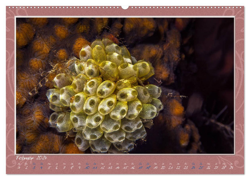 Unterwasser Kunstwerke (CALVENDO Premium Wandkalender 2024)