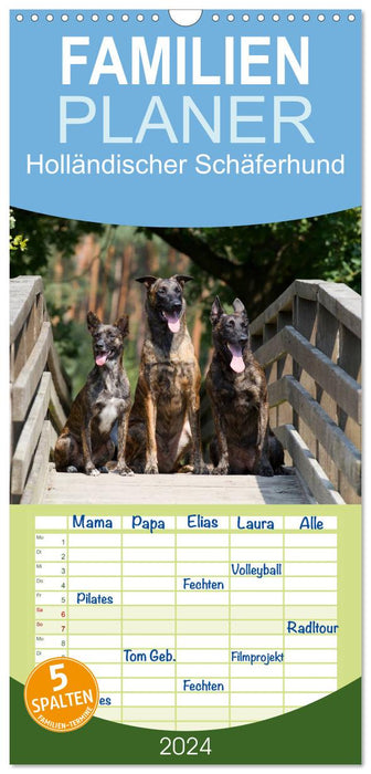 Holländischer Schäferhund (CALVENDO Familienplaner 2024)