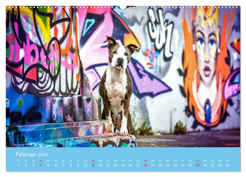 Hunde und Graffiti (CALVENDO Premium Wandkalender 2024)