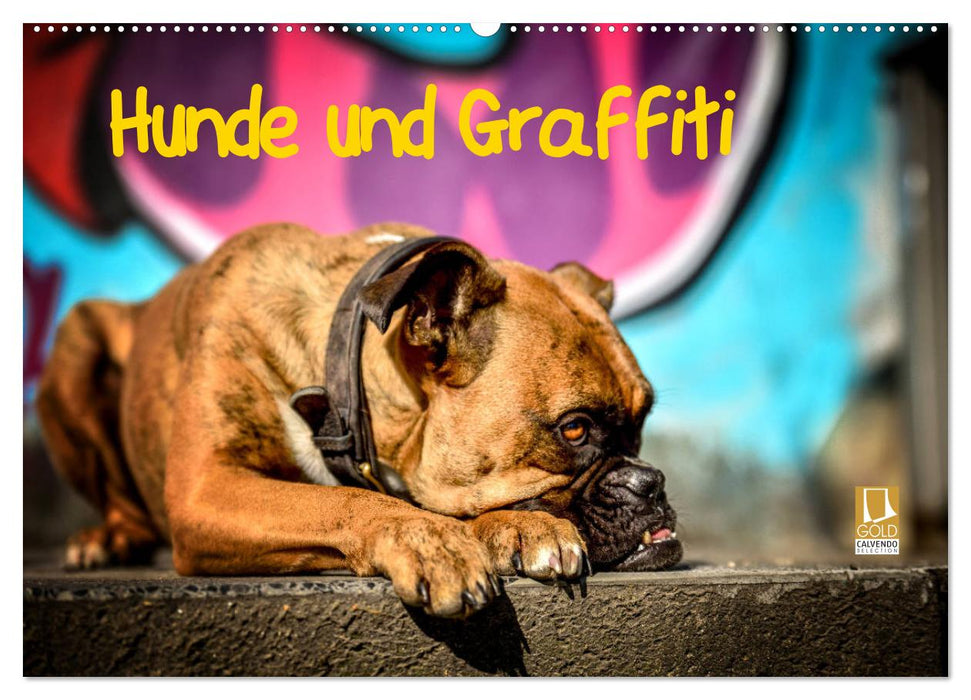 Hunde und Graffiti (CALVENDO Wandkalender 2024)