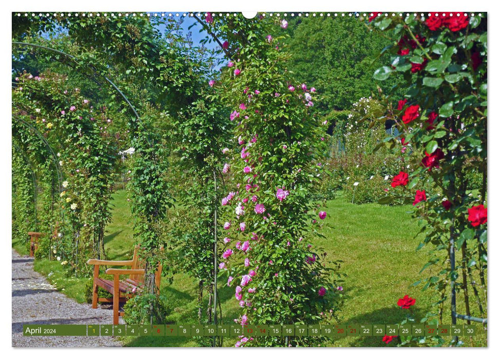 Rosengarten auf dem Beutig (CALVENDO Premium Wandkalender 2024)