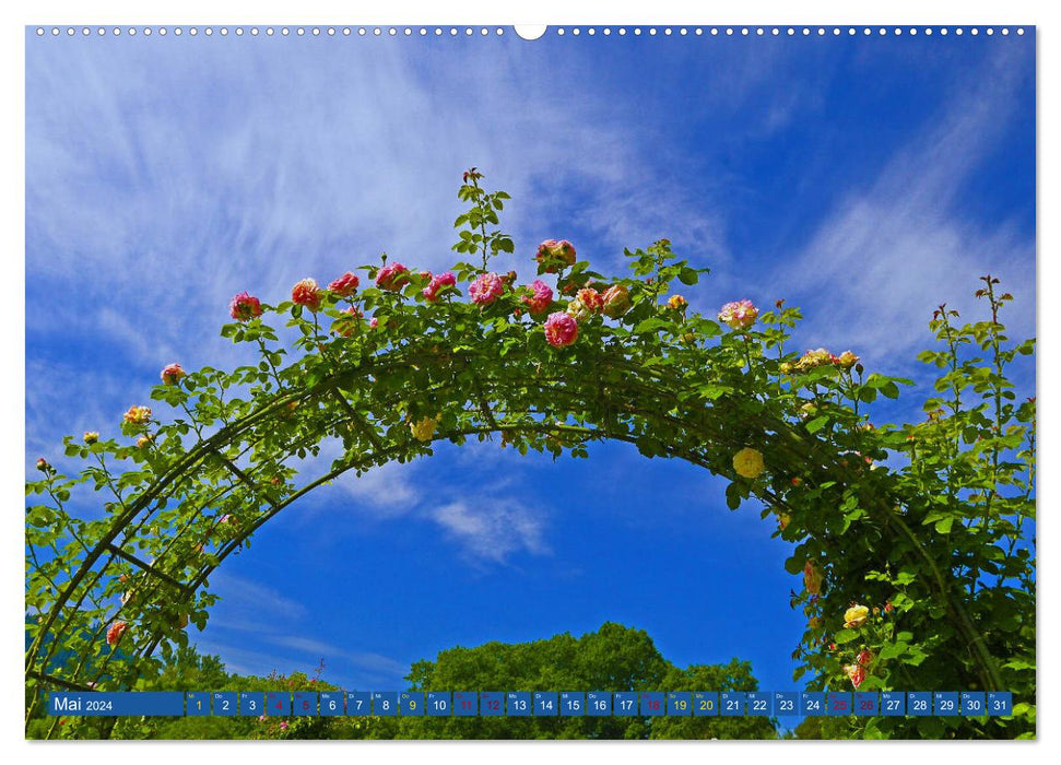 Rosengarten auf dem Beutig (CALVENDO Wandkalender 2024)