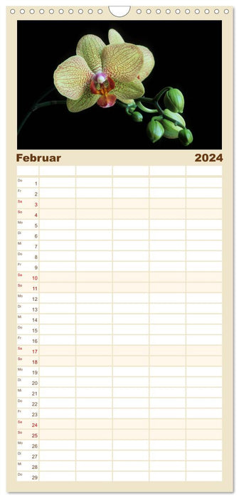 Orchideen 2024 (CALVENDO Familienplaner 2024)