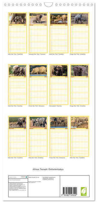 Afrikas Tierwelt: Elefantenbabys (CALVENDO Familienplaner 2024)