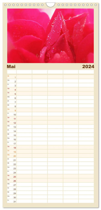 Rosen Blüten Terminkalender (CALVENDO Familienplaner 2024)