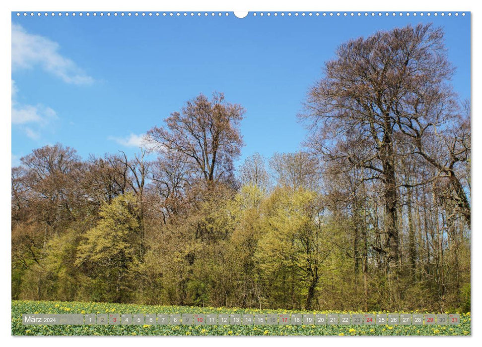 Münsterland - Vielfältige Schönheit (CALVENDO Wandkalender 2024)