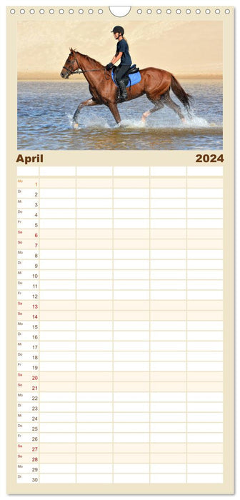 Mein Reitsport Kalender (CALVENDO Familienplaner 2024)