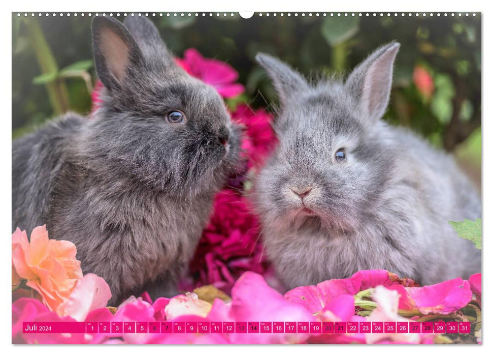 Kaninchen. Putzig, flauschig und geliebt (CALVENDO Premium Wandkalender 2024)