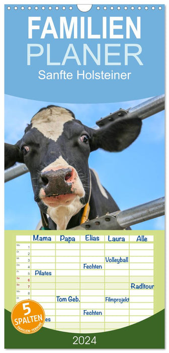 Sanfte Holsteiner (CALVENDO Familienplaner 2024)