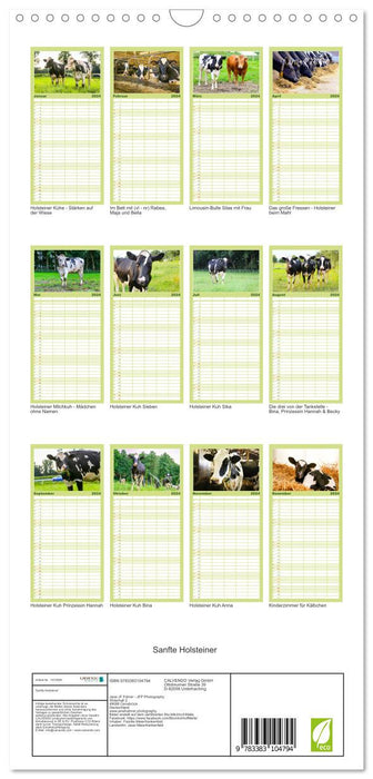 Sanfte Holsteiner (CALVENDO Familienplaner 2024)
