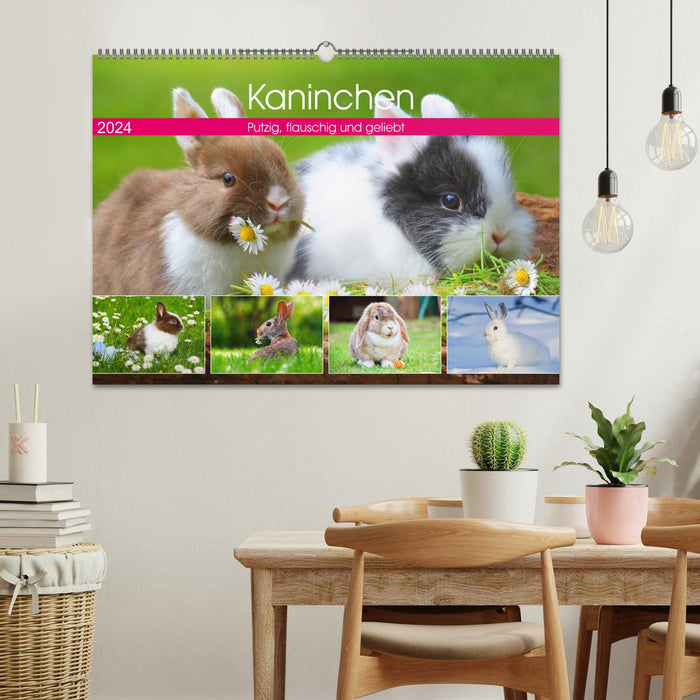 Kaninchen. Putzig, flauschig und geliebt (CALVENDO Wandkalender 2024)