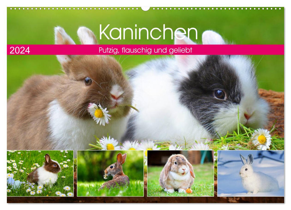 Kaninchen. Putzig, flauschig und geliebt (CALVENDO Wandkalender 2024)