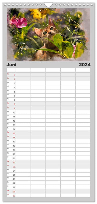 Katzenkalender mausgemalt (CALVENDO Familienplaner 2024)