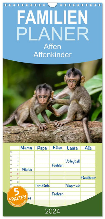 Affen - Affenkinder (CALVENDO Familienplaner 2024)