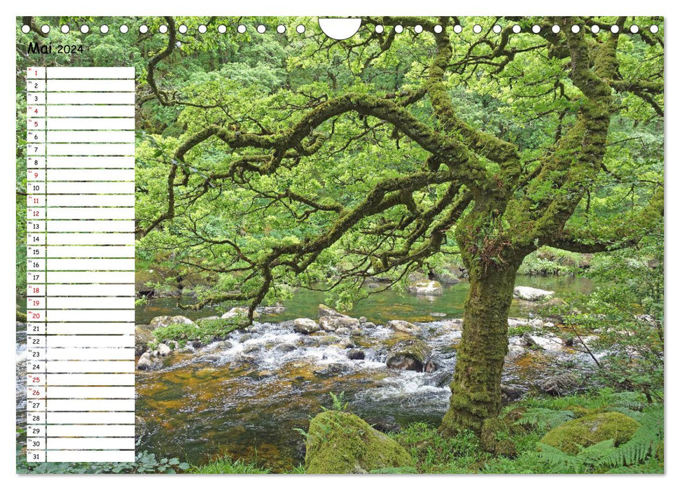 Einsame Natur - Terminkalender (CALVENDO Wandkalender 2024)