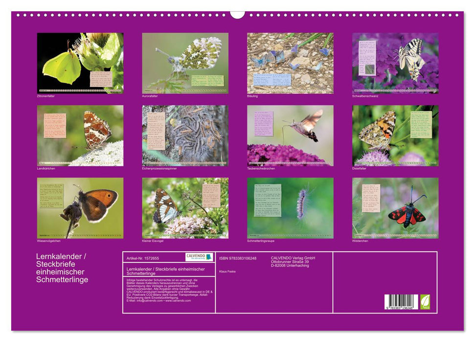 GEOclick learning calendar: profiles of native butterflies (CALVENDO wall calendar 2024) 