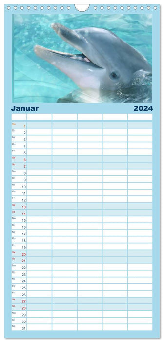 Delfine - Kalender (CALVENDO Familienplaner 2024)