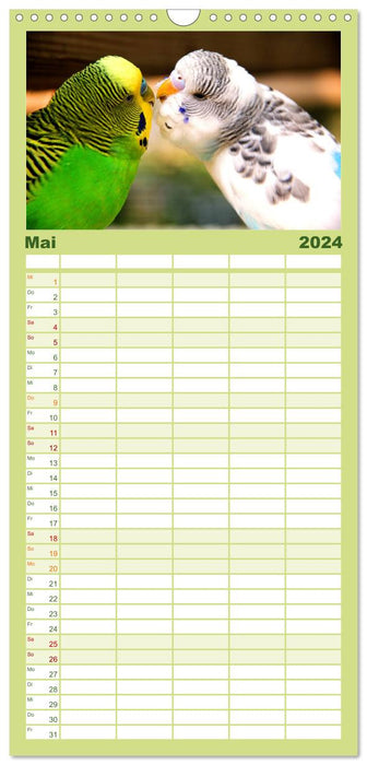 Wellensittichkalender (CALVENDO Familienplaner 2024)