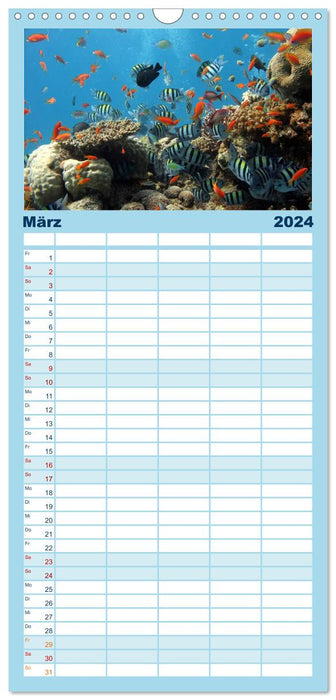 Poissons et créatures marines (Agenda familial CALVENDO 2024) 