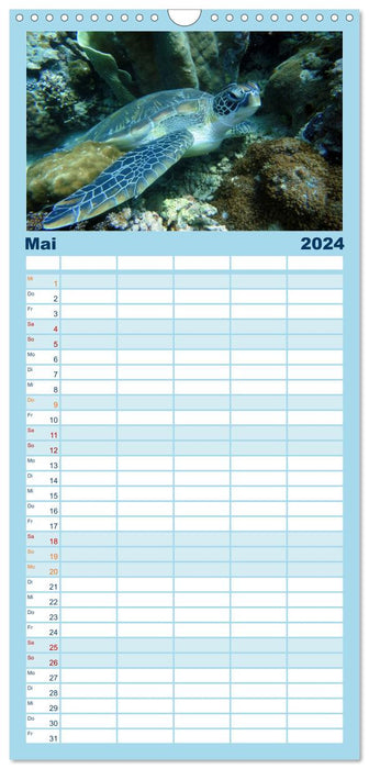 Fische und Meerestiere (CALVENDO Familienplaner 2024)