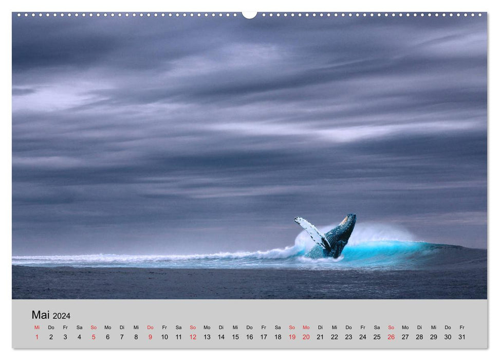 Am Meer. Sehnsucht Wasser (CALVENDO Premium Wandkalender 2024)