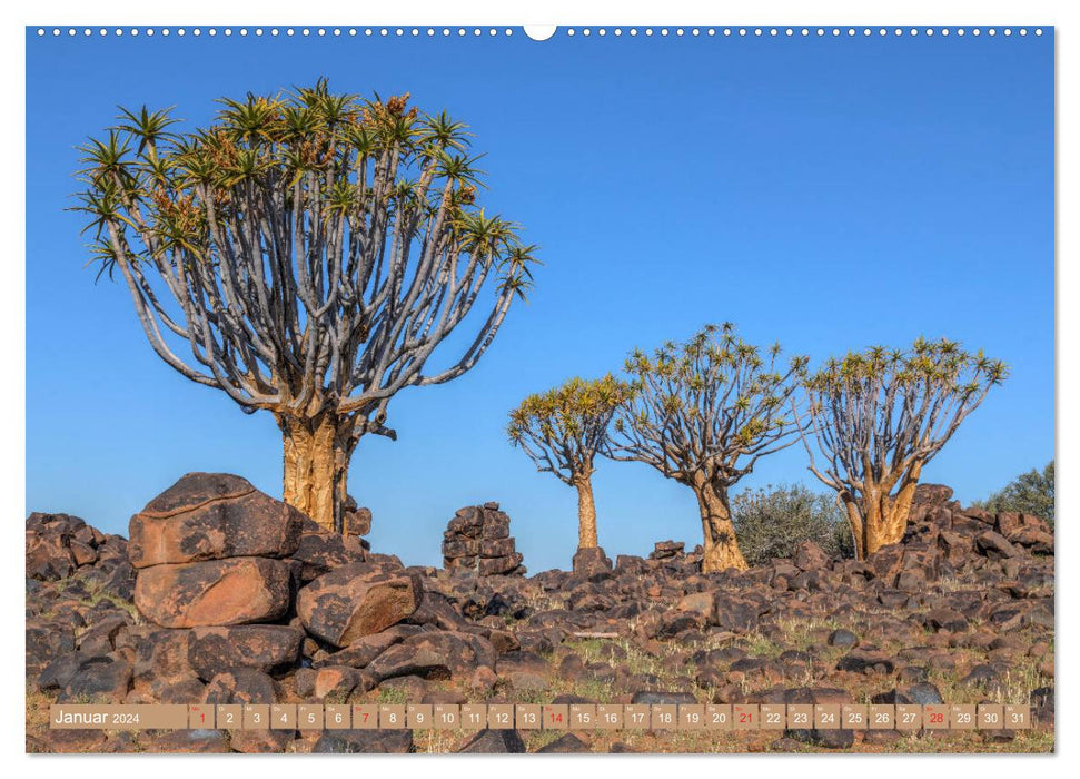 Namibie, aventure africaine (Calvendo Premium Wall Calendar 2024) 