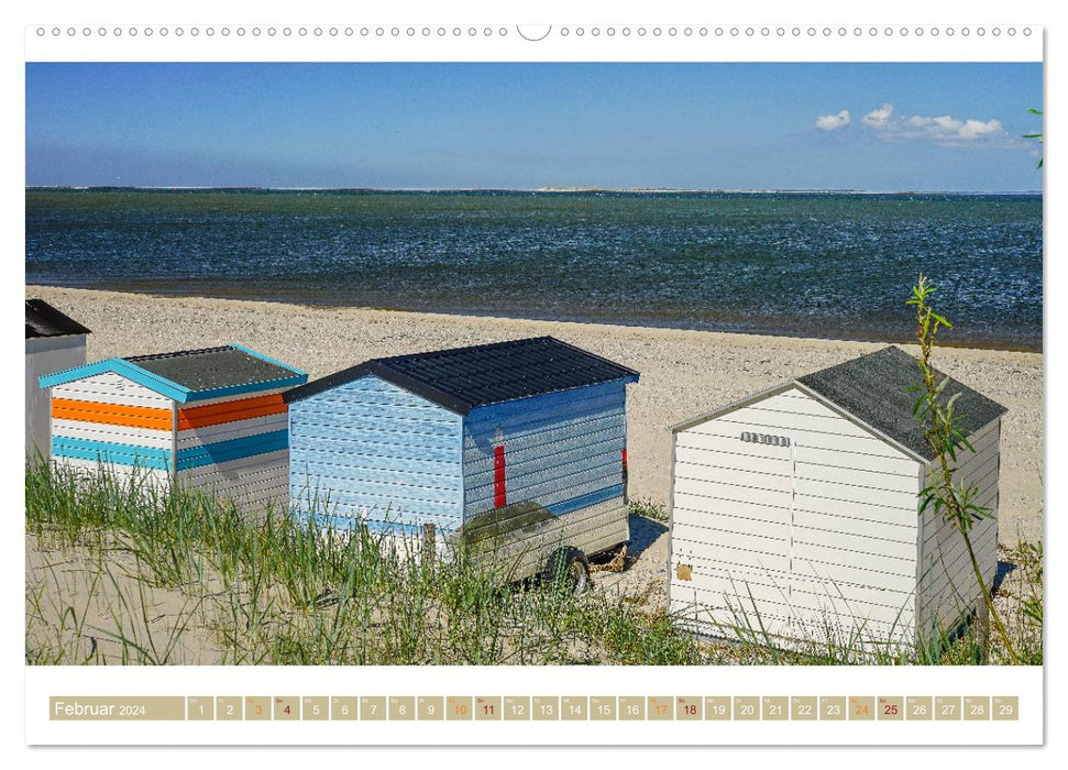 Texel - Die Sommer-Sonnen-Insel (CALVENDO Wandkalender 2024)