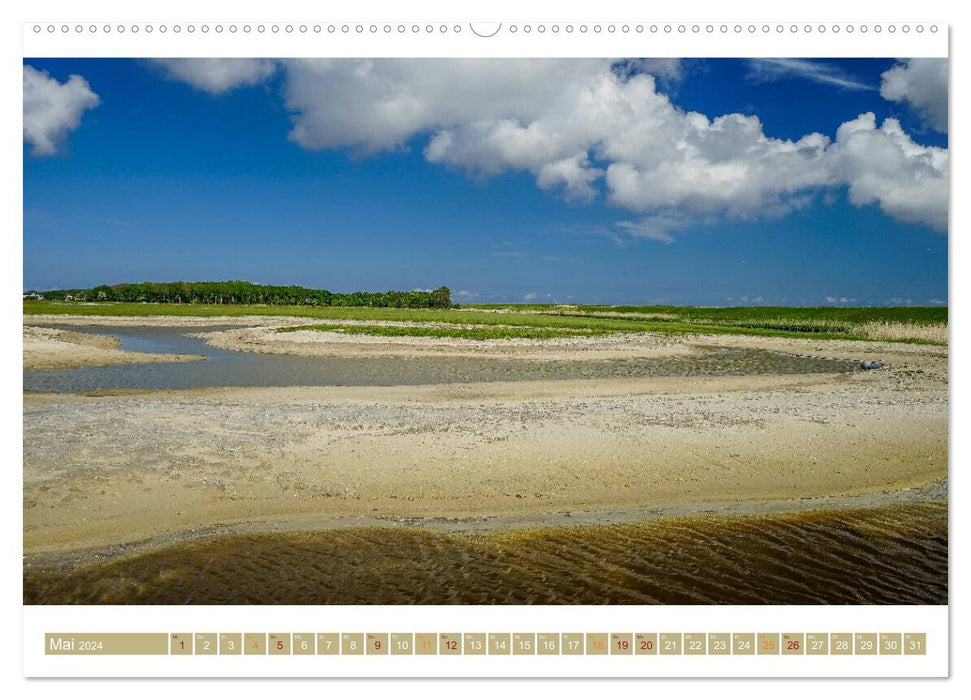 Texel – L'île du soleil d'été (Calvendo mural 2024) 