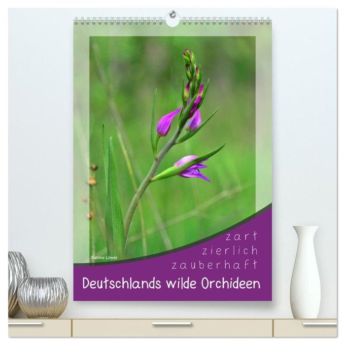 Deutschlands wilde Orchideen (CALVENDO Premium Wandkalender 2024)