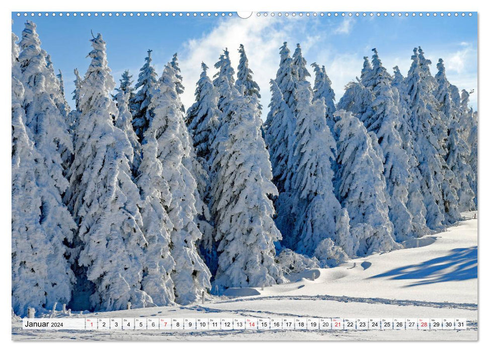 Hiver. Paysages de neige magiques (Calendrier mural CALVENDO 2024) 