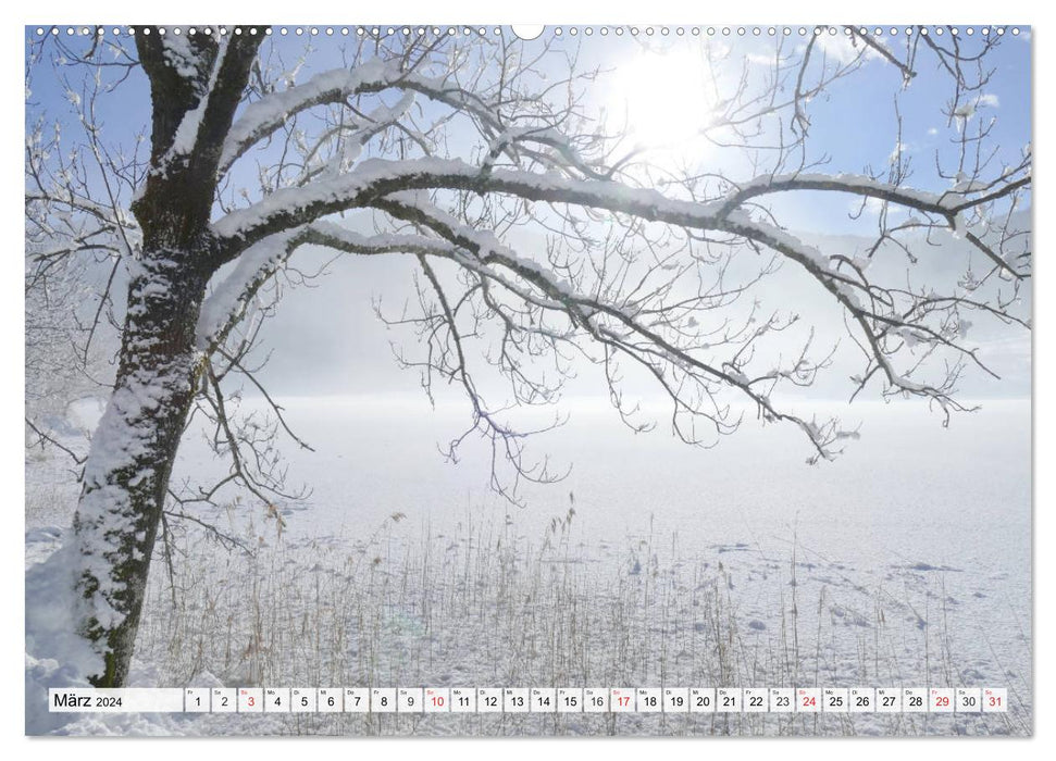 Hiver. Paysages de neige magiques (Calendrier mural CALVENDO 2024) 