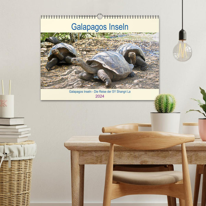 Galapagos Islands - The journey of the SY Shangri La (CALVENDO wall calendar 2024) 