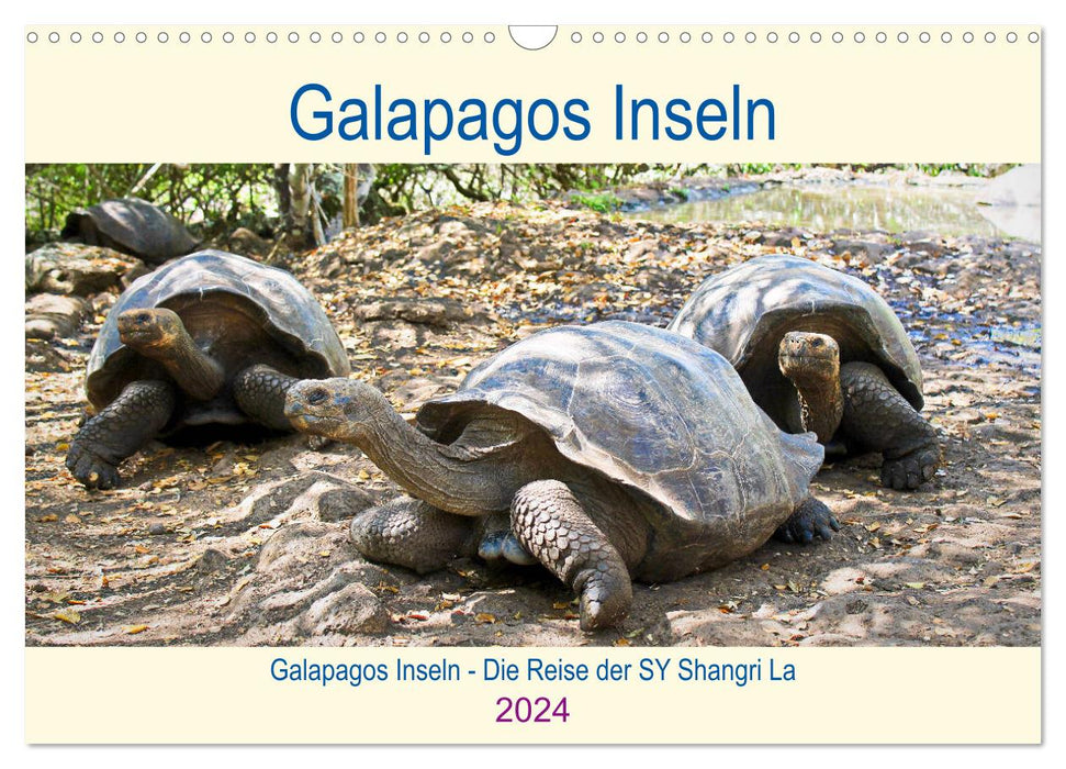 Galapagos Islands - The journey of the SY Shangri La (CALVENDO wall calendar 2024) 