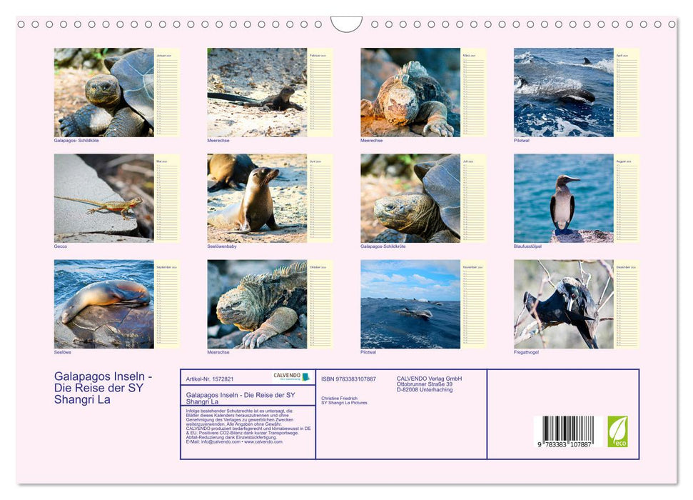 Galapagos Islands - The journey of the SY Shangri La (CALVENDO wall calendar 2024) 