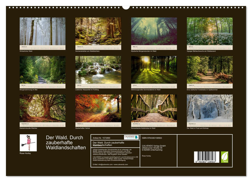 The forest. Through magical forest landscapes (CALVENDO Premium Wall Calendar 2024) 