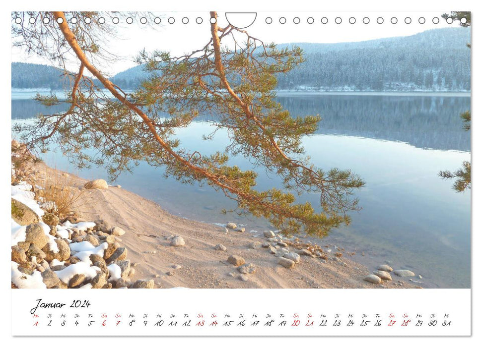 Stille Natur (CALVENDO Wandkalender 2024)