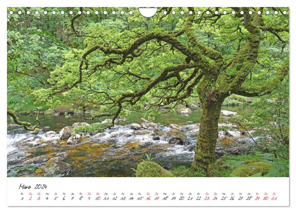 Silent nature (CALVENDO wall calendar 2024) 