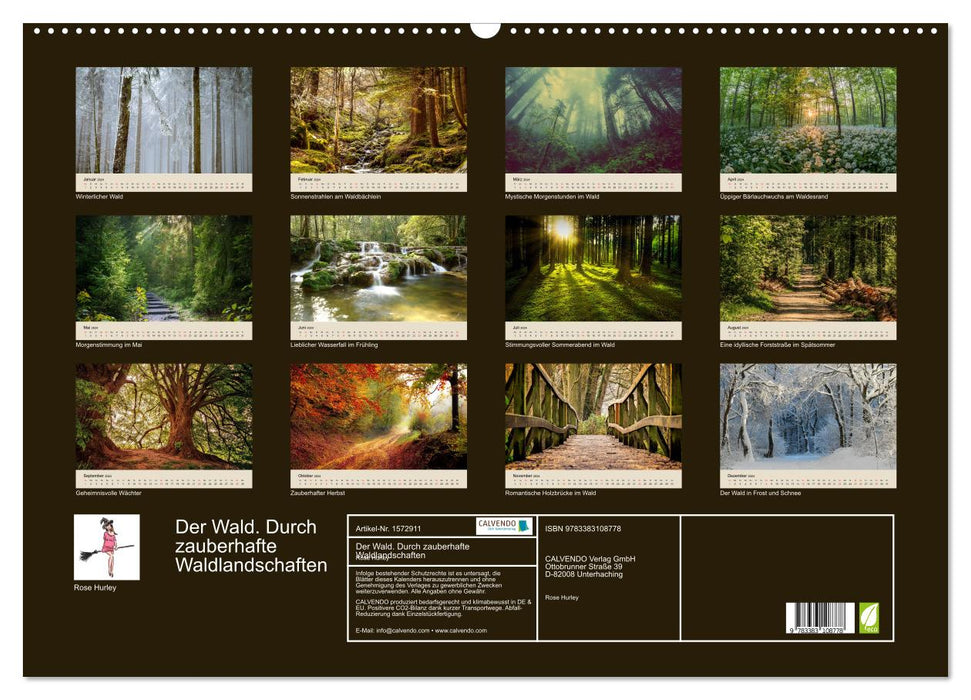 Der Wald. Durch zauberhafte Waldlandschaften (CALVENDO Wandkalender 2024)