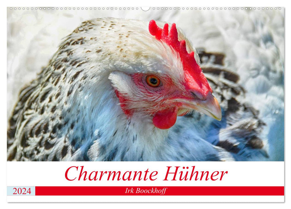 Charming chickens (CALVENDO wall calendar 2024) 